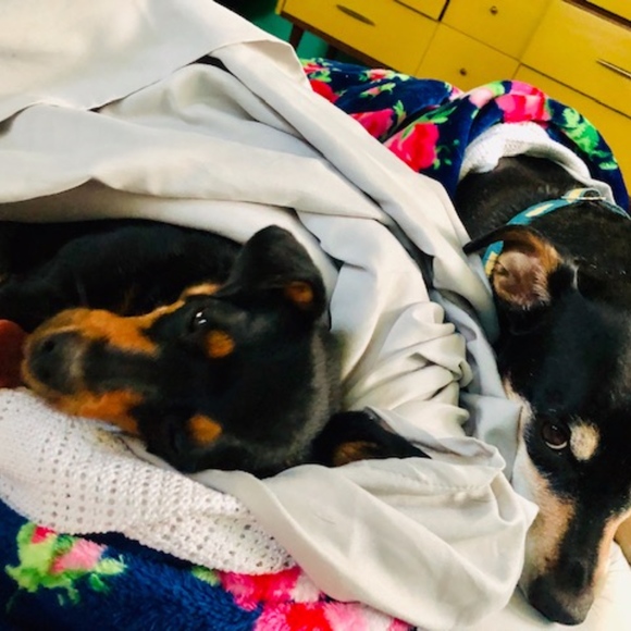 Meet your Posher, Erin 👗👢👖 - Picture 3 of 3